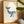 Little Blue Whale Plakat