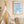 Striped Blue Cat Plakat