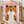Cheetah Portrait Plakat