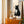 Sitting Black Bear Plakat