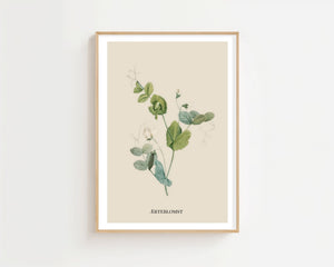 Ærteblomst Plakat - 21 x 29.7 cm (A4) - Nellastore