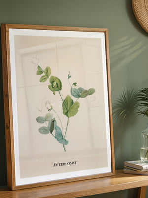 Ærteblomst Plakat - 21 x 29.7 cm (A4) - Nellastore
