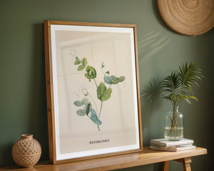 Ærteblomst Plakat - 21 x 29.7 cm (A4) - Nellastore