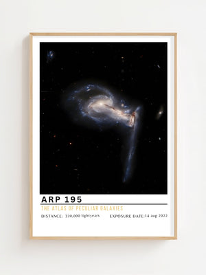 ARP 195 Plakat - 21 x 29.7 cm (A4) - Nellastore
