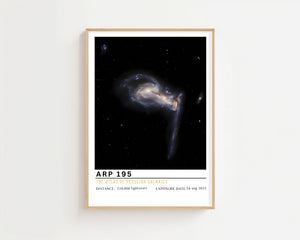 ARP 195 Plakat - 21 x 29.7 cm (A4) - Nellastore