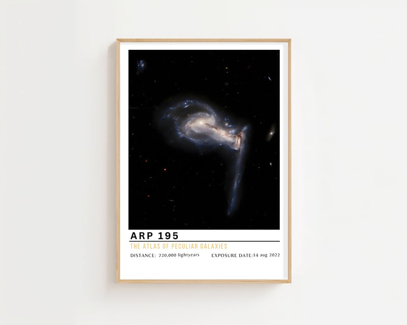 ARP 195 Plakat - 21 x 29.7 cm (A4) - Nellastore
