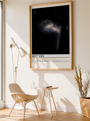 ARP 195 Plakat - 21 x 29.7 cm (A4) - Nellastore