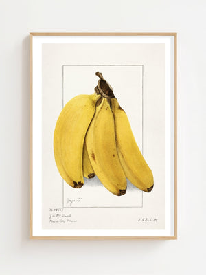 Bananas Plakat - 21 x 29.7 cm (A4) - Nellastore