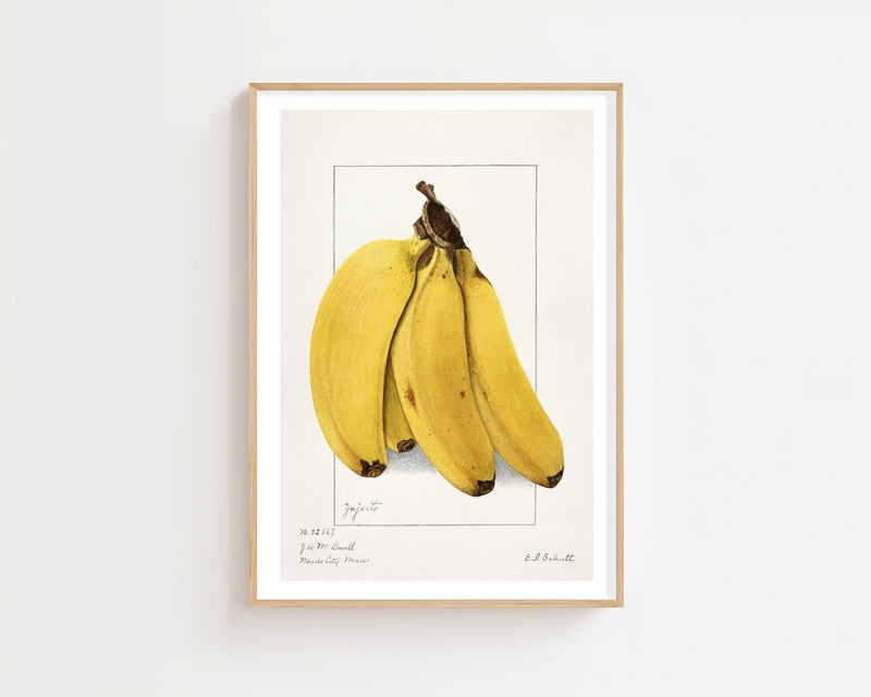 Bananas Plakat - 21 x 29.7 cm (A4) - Nellastore