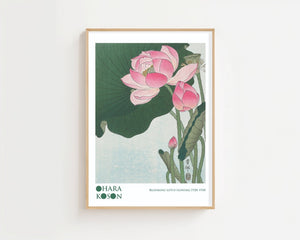 Blooming Lotus Flowers Plakat - 21 x 29.7 cm (A4) - Nellastore