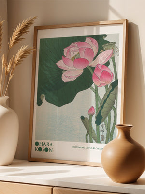 Blooming Lotus Flowers Plakat - 21 x 29.7 cm (A4) - Nellastore