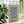 Blue Botanical Wave Matisse Plakat - 21 x 29.7 cm - Nellastore