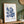Blue Coral Duo Plakat - 21 x 29.7 cm (A4) - Nellastore