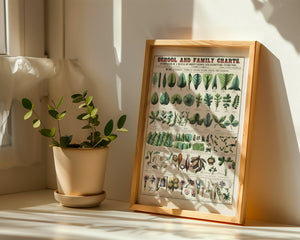 Botanical Chart Plakat - 21 x 29.7 cm (A4) - Nellastore