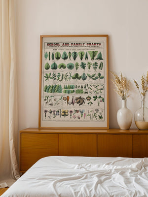 Botanical Chart Plakat - 21 x 29.7 cm (A4) - Nellastore