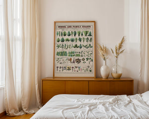 Botanical Chart Plakat - 21 x 29.7 cm (A4) - Nellastore