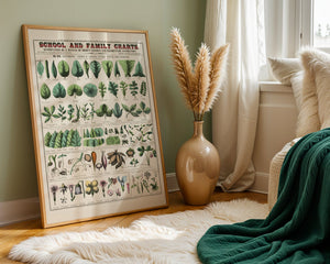 Botanical Chart Plakat - 21 x 29.7 cm (A4) - Nellastore