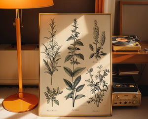 Botanical Herb Chart Plakat - 21 x 29.7 cm (A4) - Nellastore