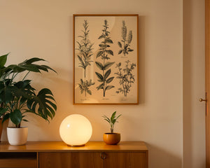 Botanical Herb Chart Plakat - 21 x 29.7 cm (A4) - Nellastore