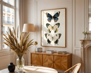 Butterfly Collection II Plakat - 21 x 29.7 cm (A4) - Nellastore