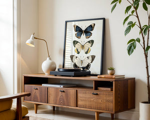 Butterfly Collection II Plakat - 21 x 29.7 cm (A4) - Nellastore