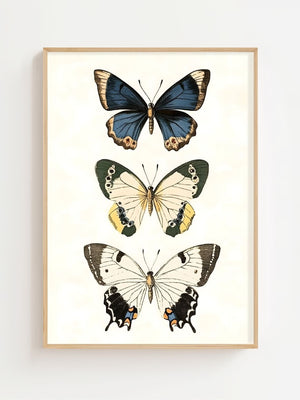 Butterfly Collection II Plakat - 21 x 29.7 cm (A4) - Nellastore
