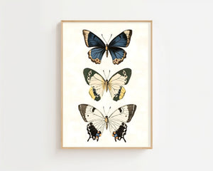 Butterfly Collection II Plakat - 21 x 29.7 cm (A4) - Nellastore