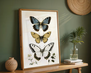 Butterfly Collection Plakat - 21 x 29.7 cm (A4) - Nellastore