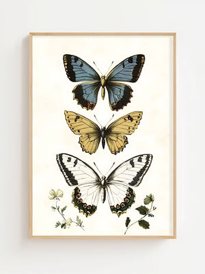 Butterfly Collection Plakat - 21 x 29.7 cm (A4) - Nellastore