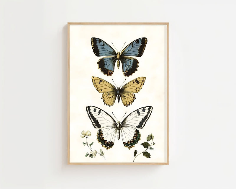 Butterfly Collection Plakat - 21 x 29.7 cm (A4) - Nellastore