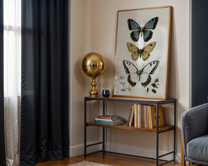 Butterfly Collection Plakat - 21 x 29.7 cm (A4) - Nellastore