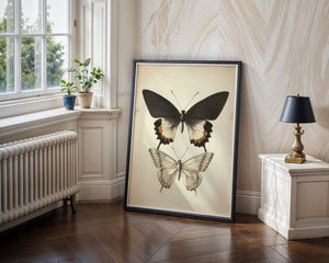 Butterfly Specimen Plakat - 21 x 29.7 cm (A4) - Nellastore