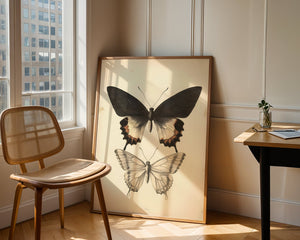 Butterfly Specimen Plakat - 21 x 29.7 cm (A4) - Nellastore