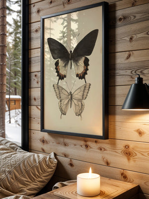 Butterfly Specimen Plakat - 21 x 29.7 cm (A4) - Nellastore