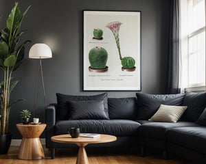 Cactus Collection Plakat - 21 x 29.7 cm (A4) - Nellastore