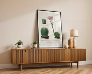 Cactus Collection Plakat - 21 x 29.7 cm (A4) - Nellastore