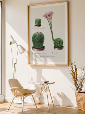 Cactus Collection Plakat - 21 x 29.7 cm (A4) - Nellastore
