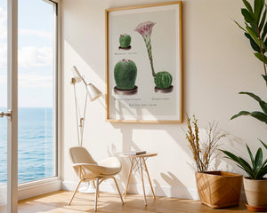 Cactus Collection Plakat - 21 x 29.7 cm (A4) - Nellastore