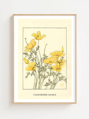 Californisk Valmue Plakat - 21 x 29.7 cm (A4) - Nellastore