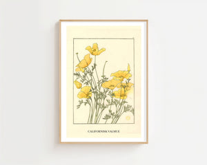 Californisk Valmue Plakat - 21 x 29.7 cm (A4) - Nellastore