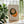 Coffee & Croissant Plakat - 21 x 29.7 cm - Nellastore
