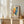 Coral Lines Matisse Plakat - 21 x 29.7 cm - Nellastore