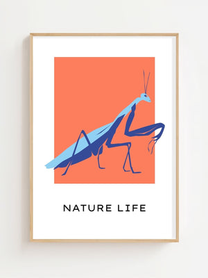Coral Mantis Plakat - 21 x 29.7 cm (A4) - Nellastore