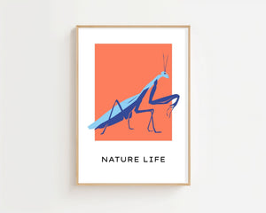 Coral Mantis Plakat - 21 x 29.7 cm (A4) - Nellastore