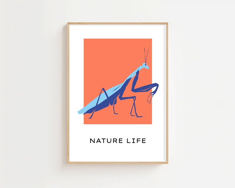 Coral Mantis Plakat - 21 x 29.7 cm (A4) - Nellastore