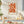 Coral Silhouette Matisse Plakat - 21 x 29.7 cm - Nellastore