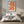 Coral Silhouette Matisse Plakat - 21 x 29.7 cm - Nellastore