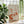 Cozy Winter Dinner Scene Plakat - 21 x 29.7 cm - Nellastore