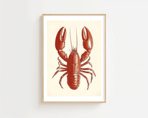 Crimson Lobster Plakat - 21 x 29.7 cm (A4) - Nellastore
