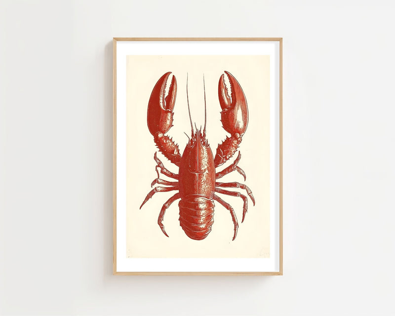 Crimson Lobster Plakat - 21 x 29.7 cm (A4) - Nellastore